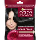 Color Champu Negro Garnier Color Sensation