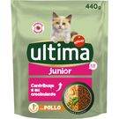 Comida Seca Gato Junior Con Pollo Ultima
