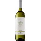 Vino Blanco Verdejo D.O. Rueda Celeste