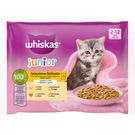 Comida Húmeda Gato Junior Selección Aves en Gelati Whiskas