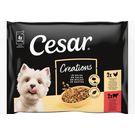 Comida Húmeda Perro Adulto Carne en Salsa P-4 Cesar