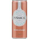 Vino Rosado Aguja Peñascal