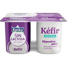 Kéfir Natural Sin Lactosa P-4 Kaiku
