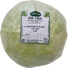 Repollo Liso