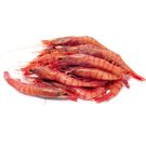 Gamba Alistada Mediana Congelada