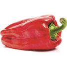 Pimiento Rojo