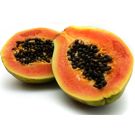 Papaya