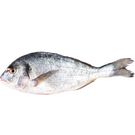 Dorada Estero