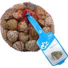 Almeja Chirla Malla 500 Gr.