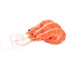 Langostino Grande Cocido