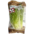 Lechuga Romana
