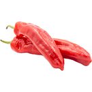 Pimiento Palermo Bolsa