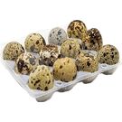 Huevos de Codorniz 18U.