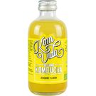 Kombucha Jengibre y Limon Komvida