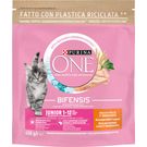 Comida Seca Gato Junior Con Pollo Bifensis One