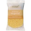 Esponja Vegetal Natural Centraline Pharma