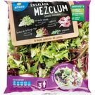 Ensalada Mezclum Alteza