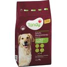 Comida Seca Perro Adulto Mantenimiento Carne/Cerea Tandy